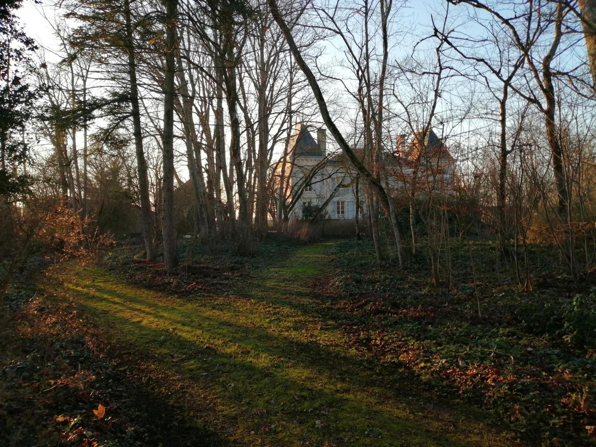 Bed and Breakfast Domaine De Prefond Bengy-sur-Craon Pokój zdjęcie