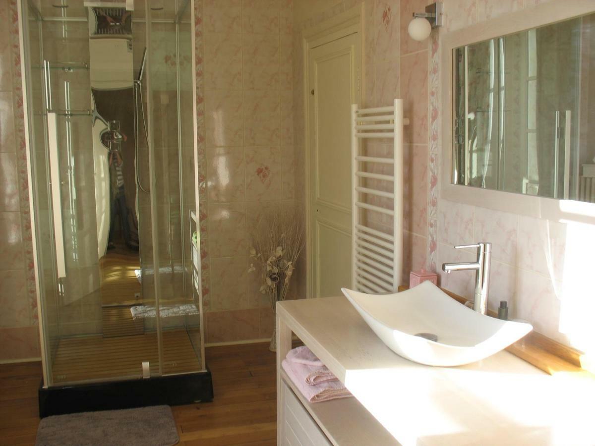 Bed and Breakfast Domaine De Prefond Bengy-sur-Craon Zewnętrze zdjęcie